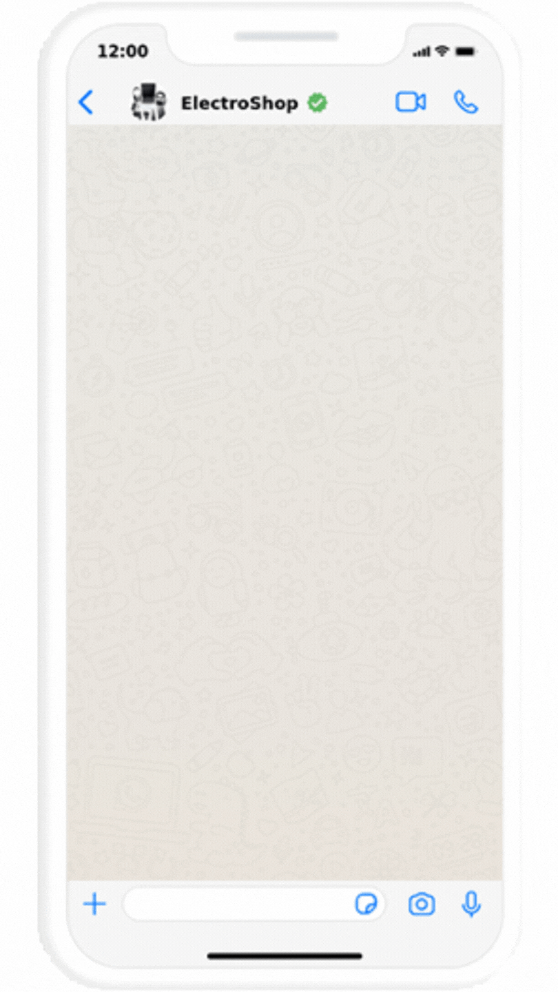 WhatsApp Marketing Services